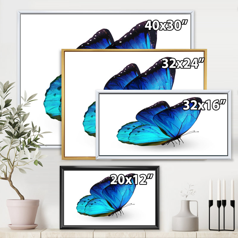 «Vibrant Blue Butterfly», reproduction sur toile, H 16 po x l 32 po x p 1 po, Toile blanche encadrée