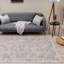 Montana Vintage Design Rug in Cream and Grey-773283436