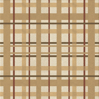 Plaid Indoor Rug