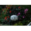 Soji 11'' Solar Powered Integrated LED Globe Lantern-92541069