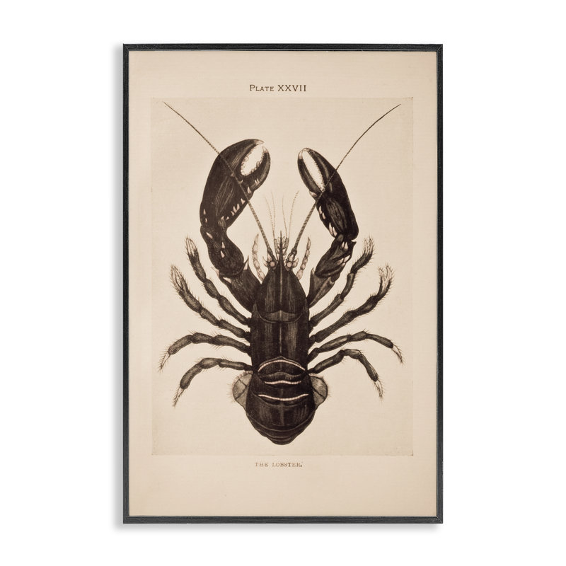 Estampe numérique à homard rétro, conception par Deborah Revell, H 18 po x l 12 po, Giclée encadrée noir minuit