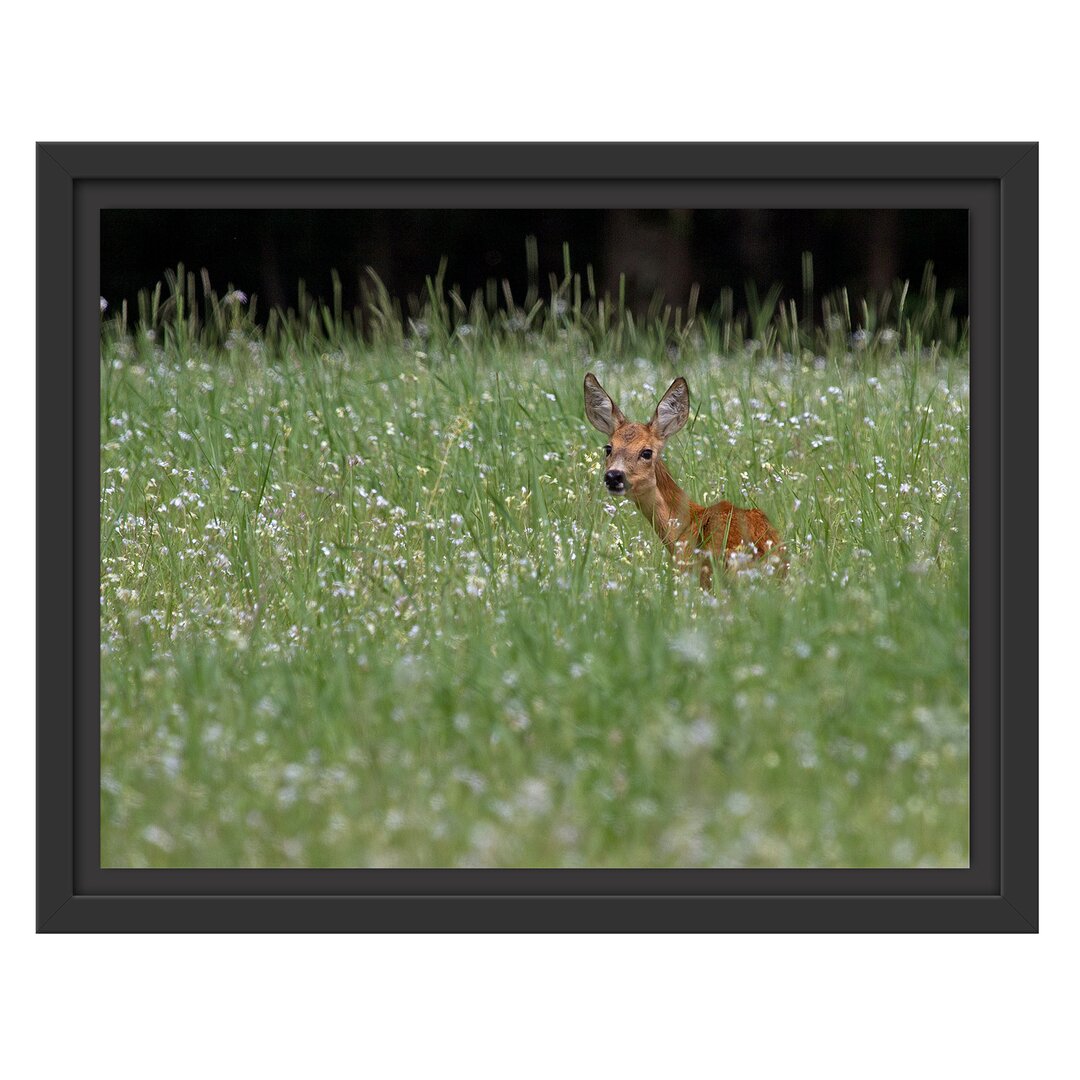 Gerahmtes Wandbild kleines Rehkitz auf Wiese