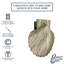 Sheila Shell Door Knocker-1529031703