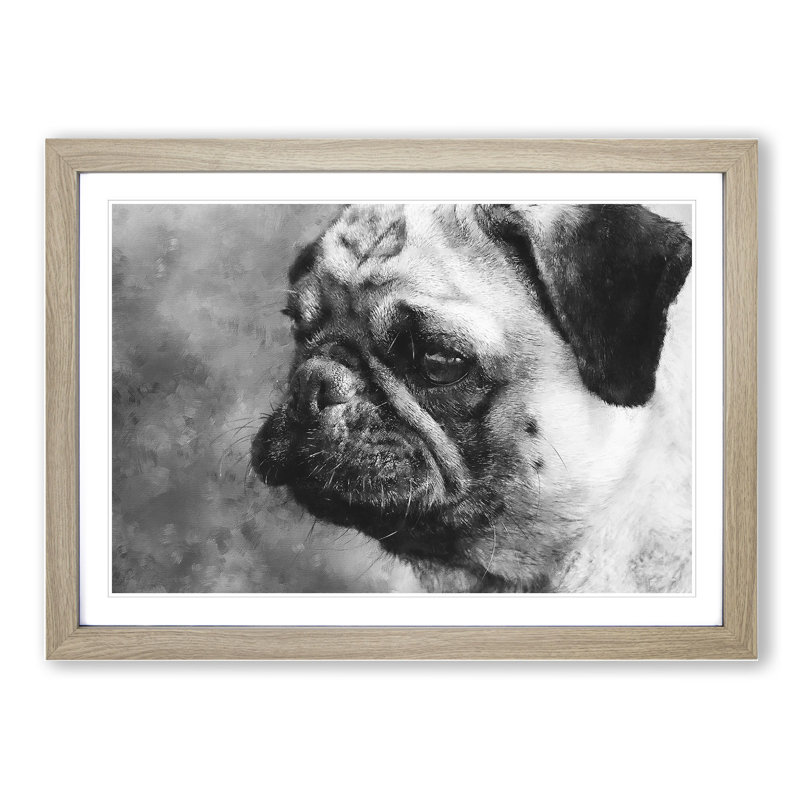 Pug Dog - Framed Print, 27cm H x 36cm W x 2cm D, Oak Framed