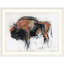 «Zubre, Bialowieza», reproduction d'art-239998796-239998799