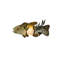 Metro Fusion 1 - Light Flush Mounted Sconce