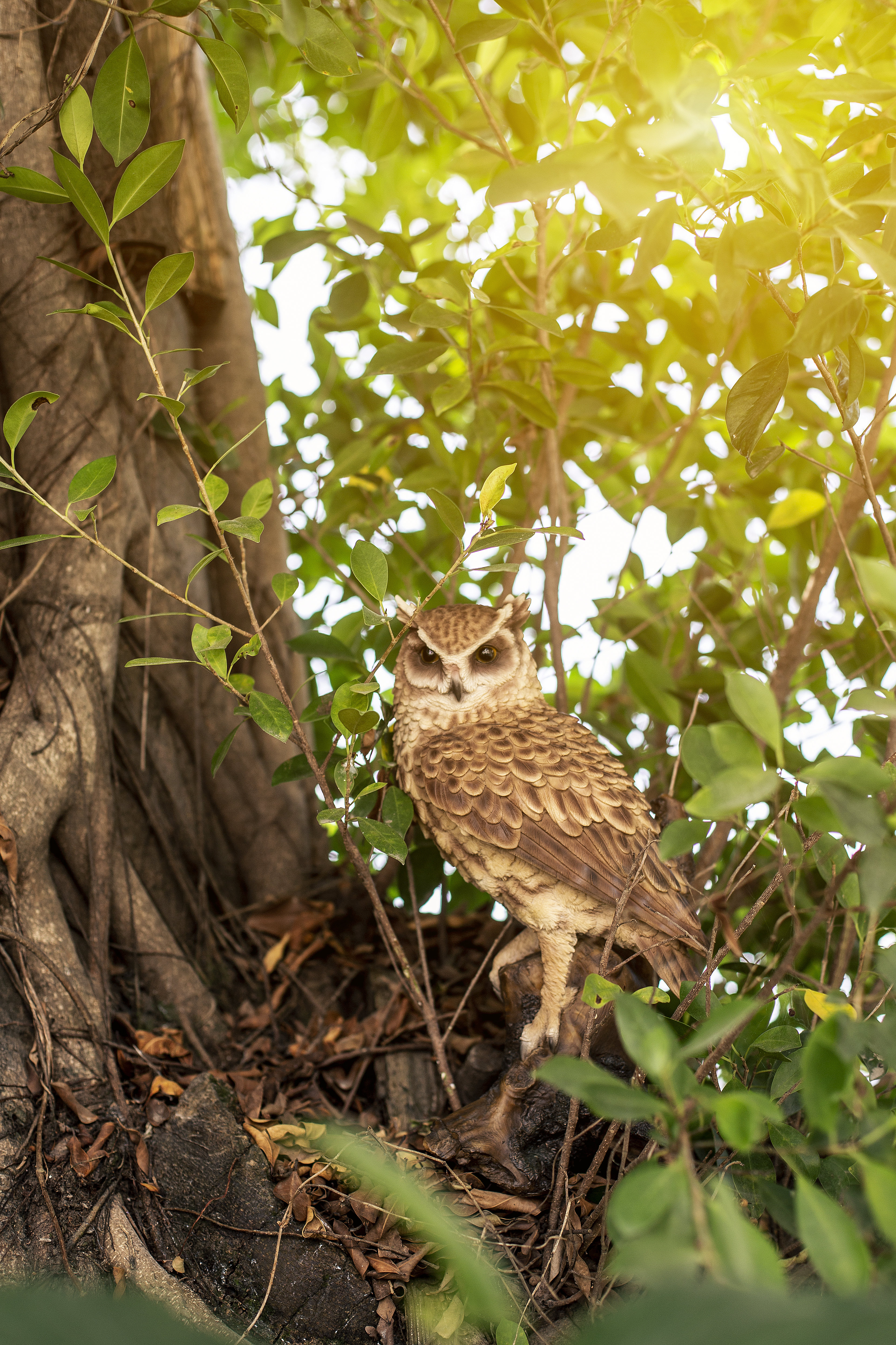 Great Horned Owl on Stump Statue