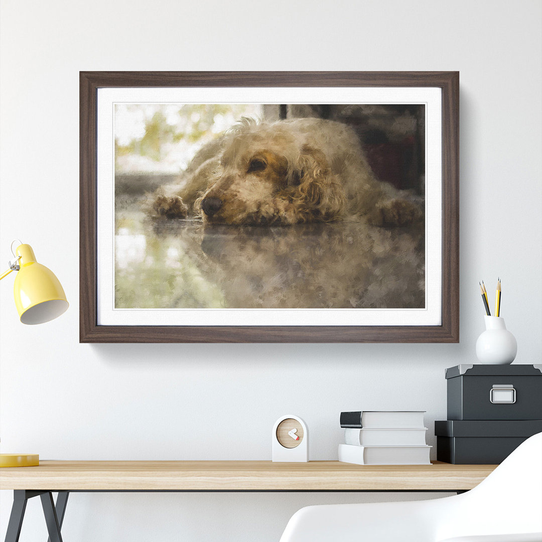 Cocker Spaniel Dog - Picture Frame Graphic Art
