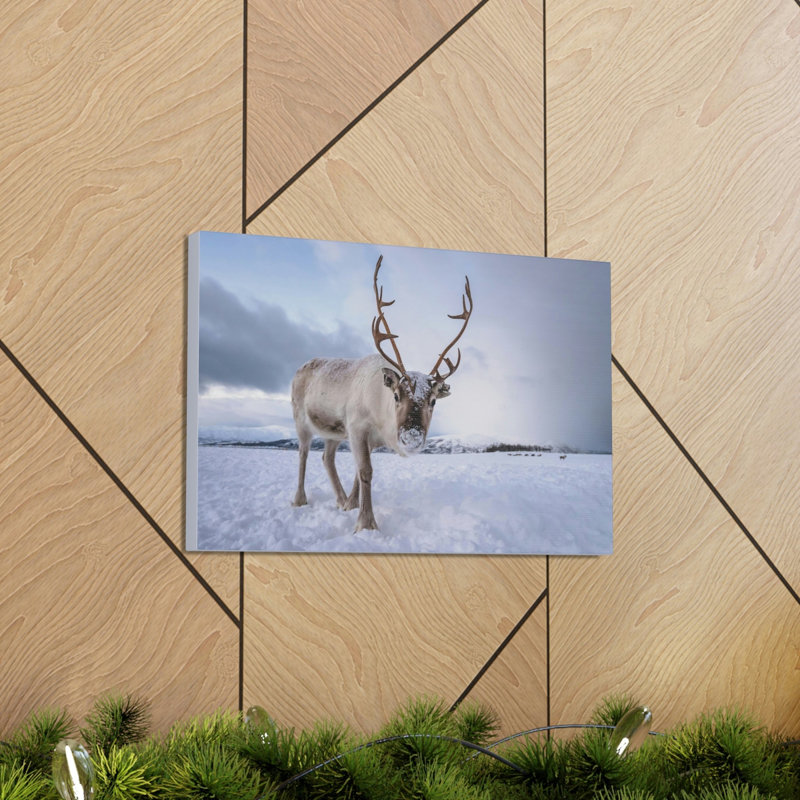 No Frame Print on Canvas, 12cm H x 16cm W