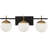 3 - Light Dimmable Vanity Light