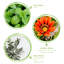 Plant / Floral Scented Jar Candle with Glass Holder