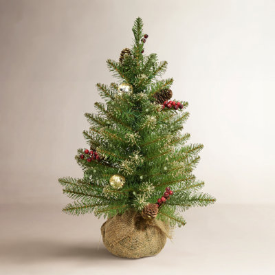 Gold 2' Pre-Lit Fir Christmas Tree