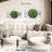 Harnek Grunge Succulent-108863459