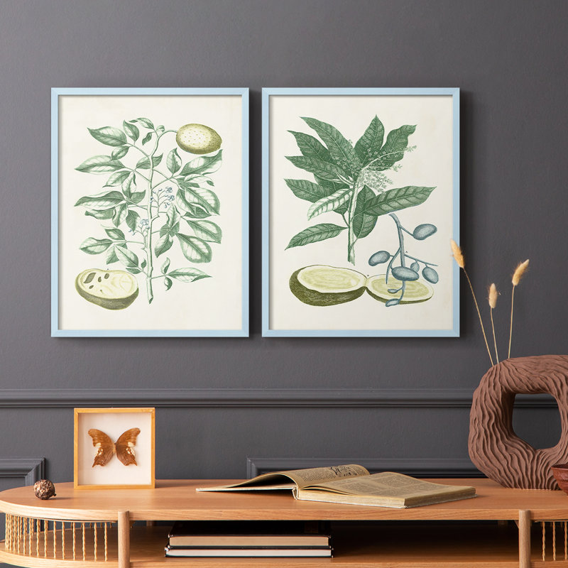 Buchoz Tropicals III - reproduction encadrée de qualité supérieure - prête à être accrochée - aucun clou requis - aucun clou requis