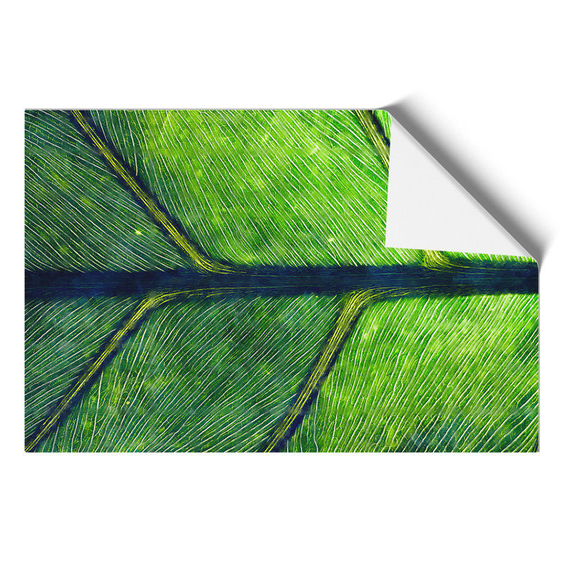Leaf Detail - No Frame Print, 30cm H x 42cm W x 0.1cm D