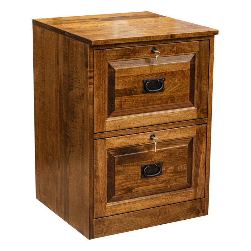 Doonans 21'' Wide 2 -Drawer Solid Wood File Cabinet, Cherry