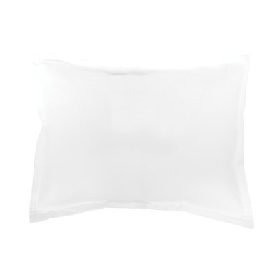 Delfina Delfina White Cotton Sham