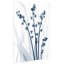 «Radiant Blues 1» par Albert Koetsier - reproduction de photo non encadrée sur verre