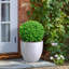 Fibreglass Plant Pot-39260670-39260877