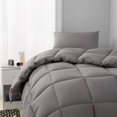 Cool Being Thick - Coma Inducer Oversized Comforter Set
