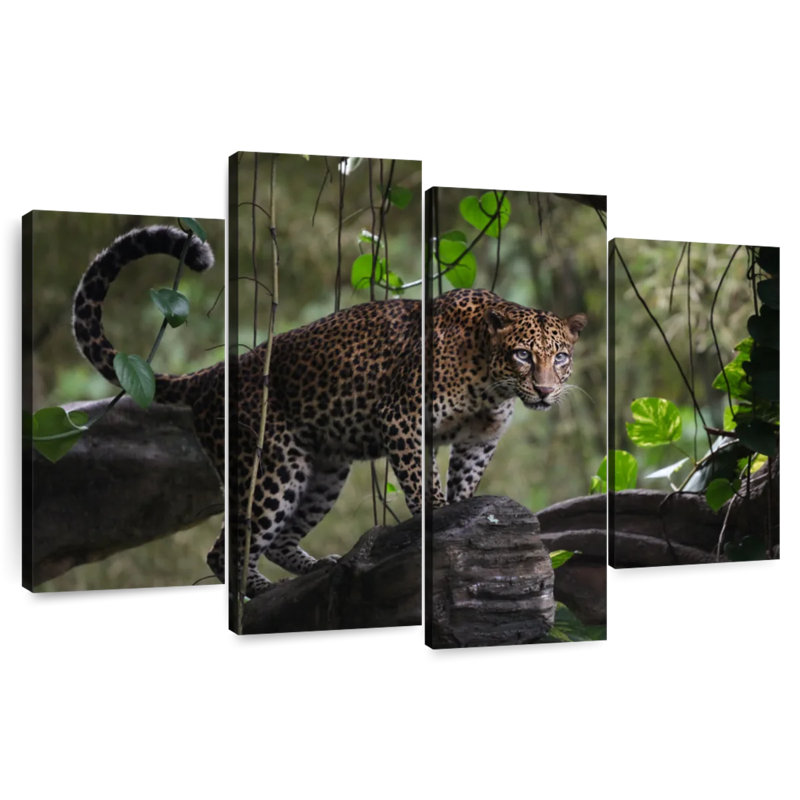 Brampt Indonesian Leopard, 42" H x 68" W
