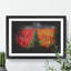 Field of Tulips - Picture Frame Graphic Art-62801772-62801787
