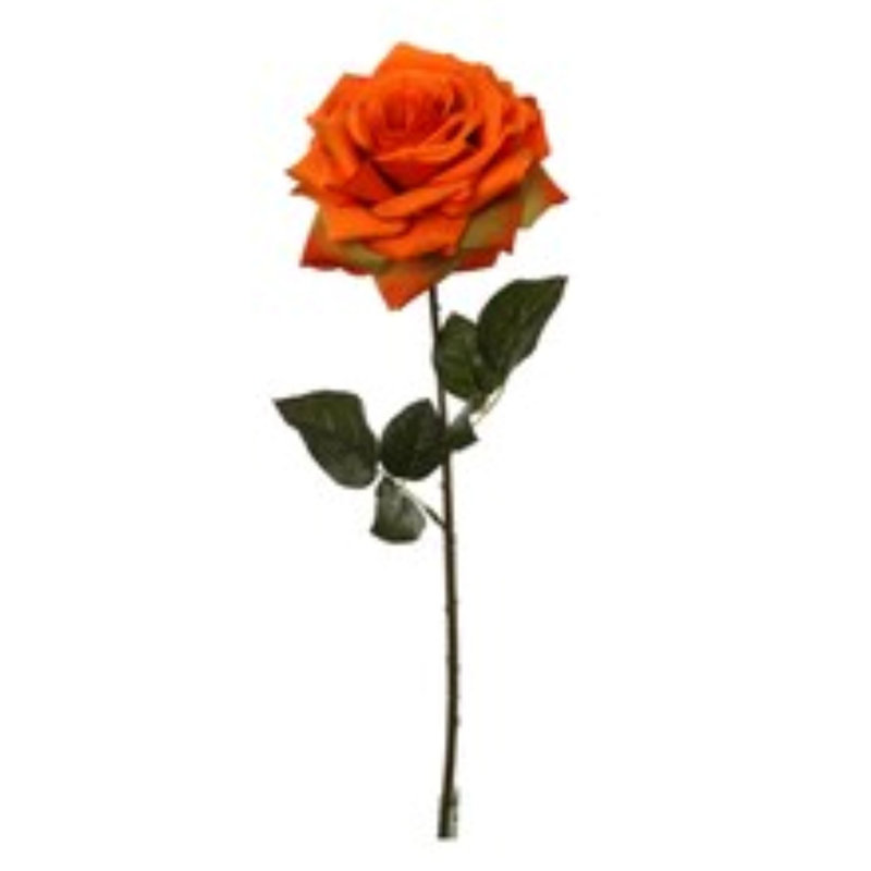 20" Open Rose Stem - 4 Pack