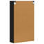 Accent Cabinet-1638788964