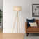 Braynt Metal Tripod Floor Lamp with Glass Shade