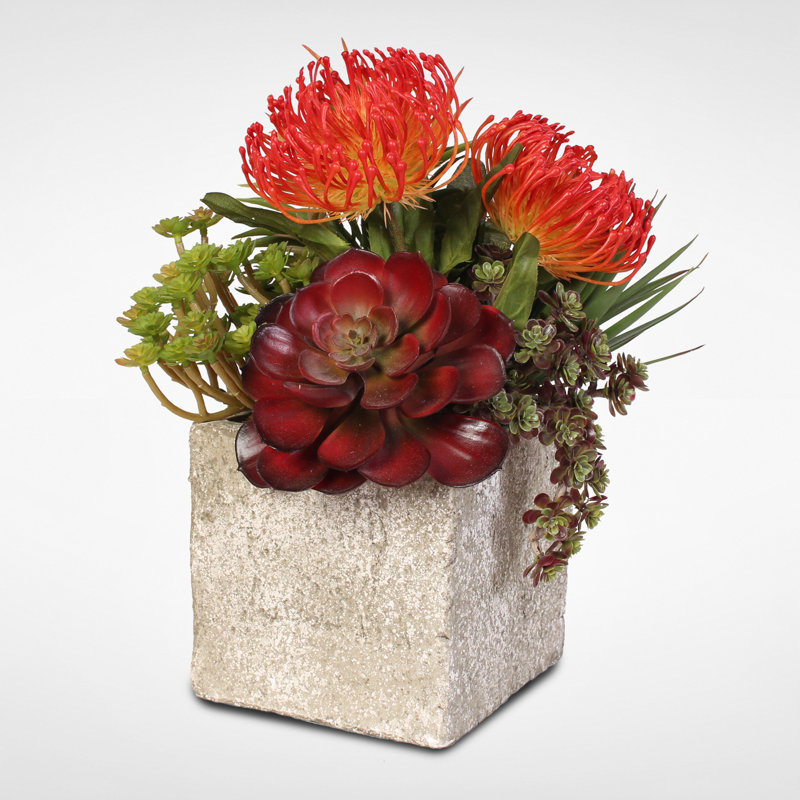 Faux Succulent Plant in Concrete Pot