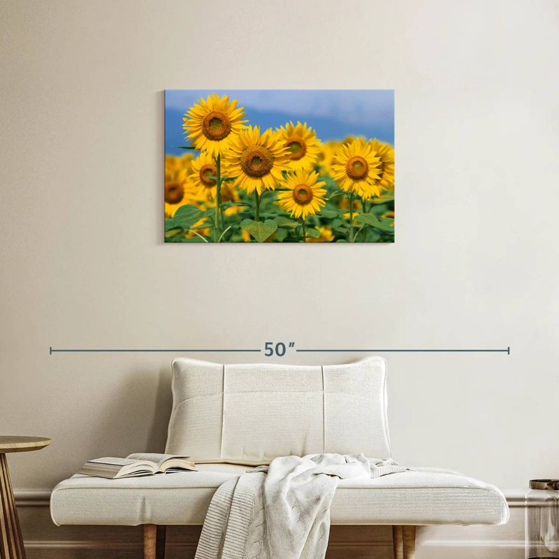 Harnek Honshu tournesols, H 20 po x l 30 po