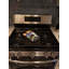 Gant de cuisine Boston Terrier