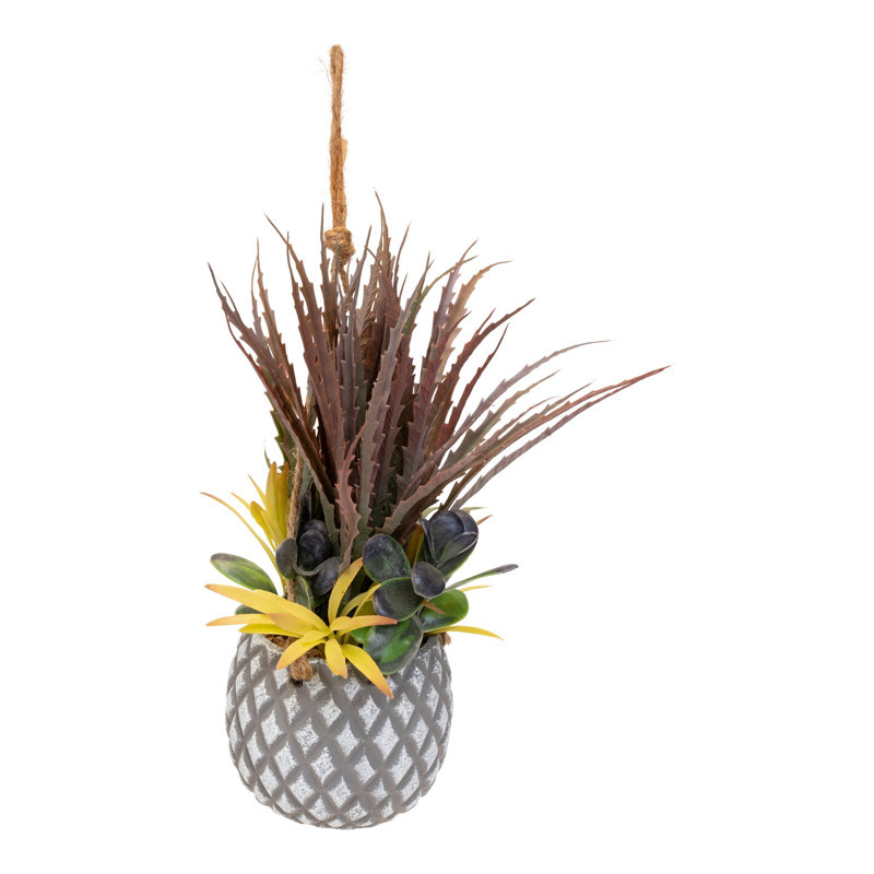 Faux Succulent Plant in Pot, 37cm H x 23cm W x 28cm D