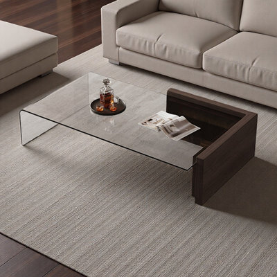 Modern minimalist high-end coffee table