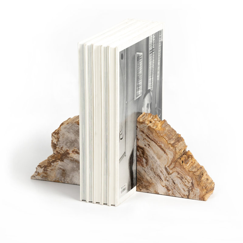 Petrified 2 Piece Wood Book End Set