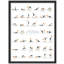 «Complétez le tableau de poses de yoga 40 positions de yoga essentielles pour les débutants et les experts en petit décor»-101376443-101376441