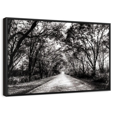BW Forest Path
