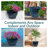 Berlina Round Imperial Ceramic Outdoor Planter