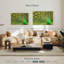 Brampt exhibant des plumes de paon-107676519