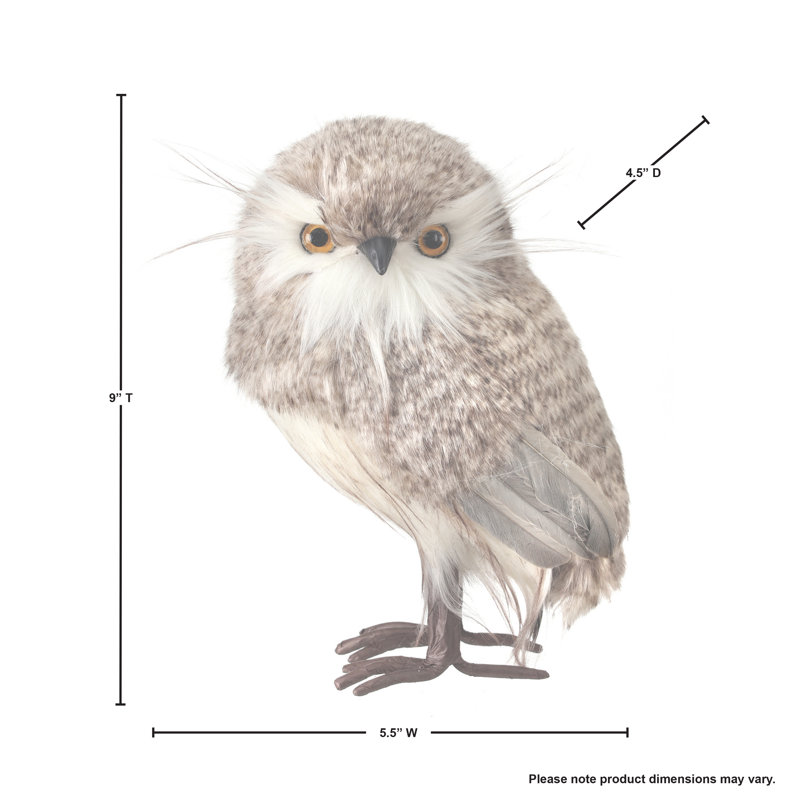 Hibou debout