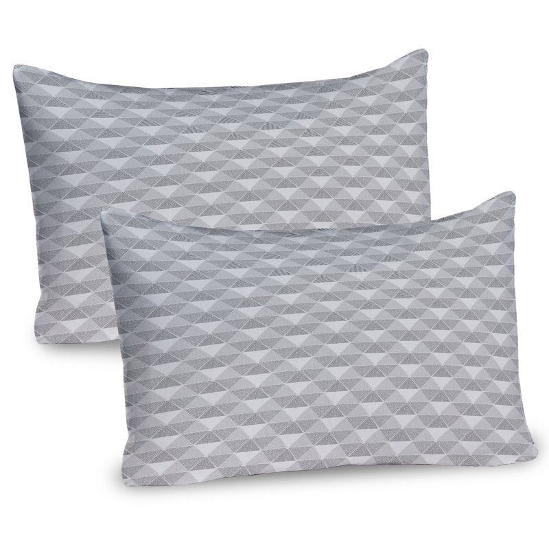 Ensemble de 2 taies décoratives à motif géométrique Ambesonne Grungy, H 20 po x l 26 po