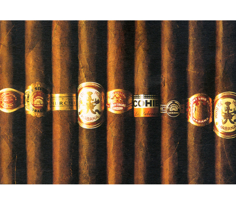 Cigare Quintessentiel, H 17 po x l 24 po