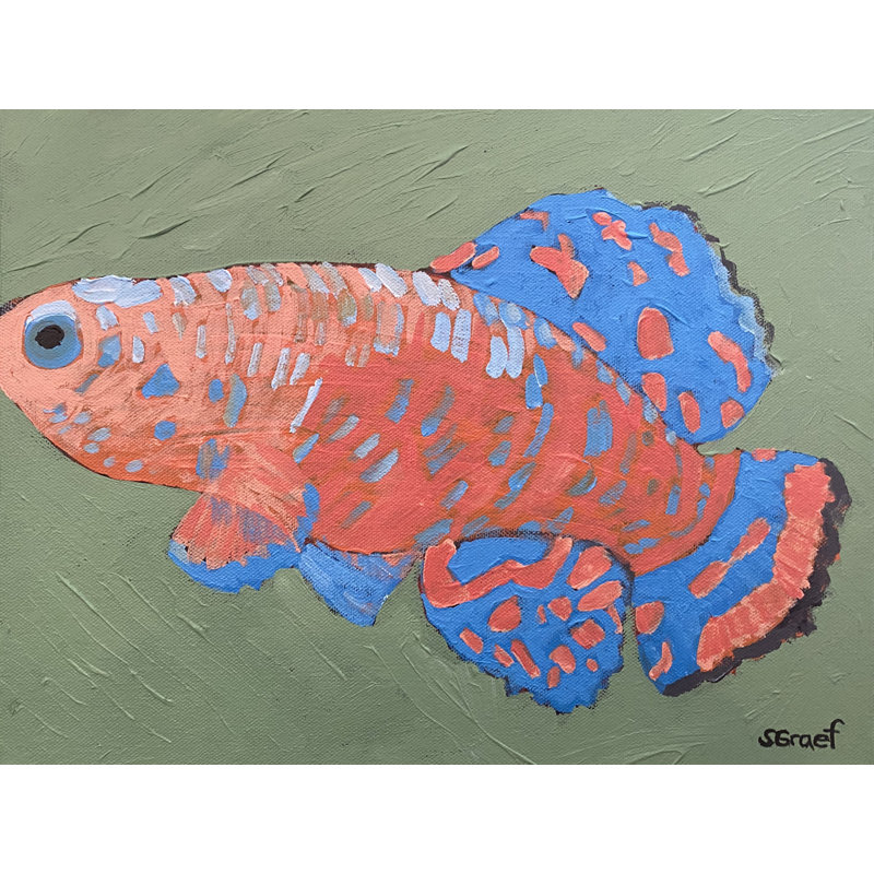 Bluefin Print by Sue Graef, Wrapped Canvas, 24" H x 32" W