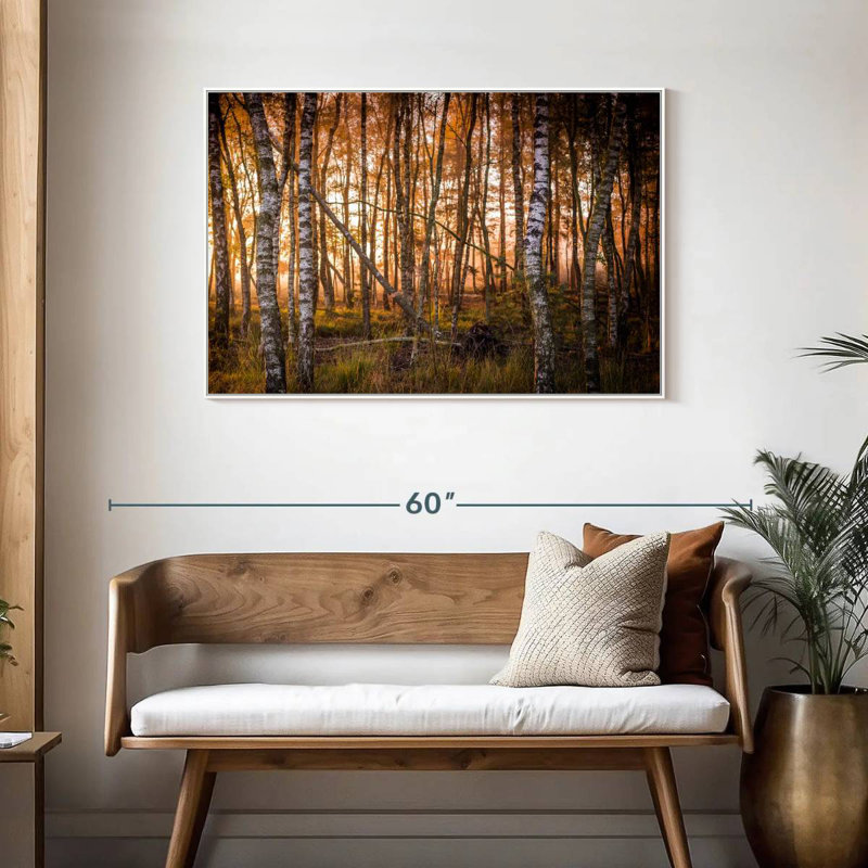 Forêt de bouleaux sombre, Cadre flottant blanc, 43 po x 29 po
