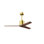 Mollywood - 42" Ceiling Fan - Textured Bronze Finish - Matte Black Blades