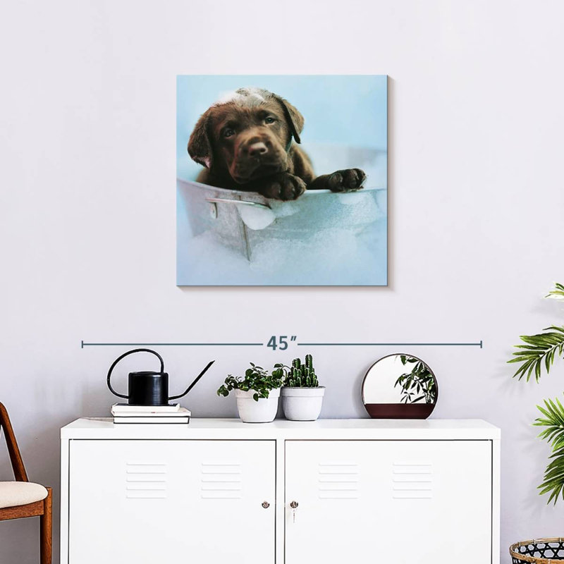 Brampt Beau The Dog, 24" H x 24" W