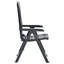 Carousel Garden Reclining Chairs Plastic-322097792
