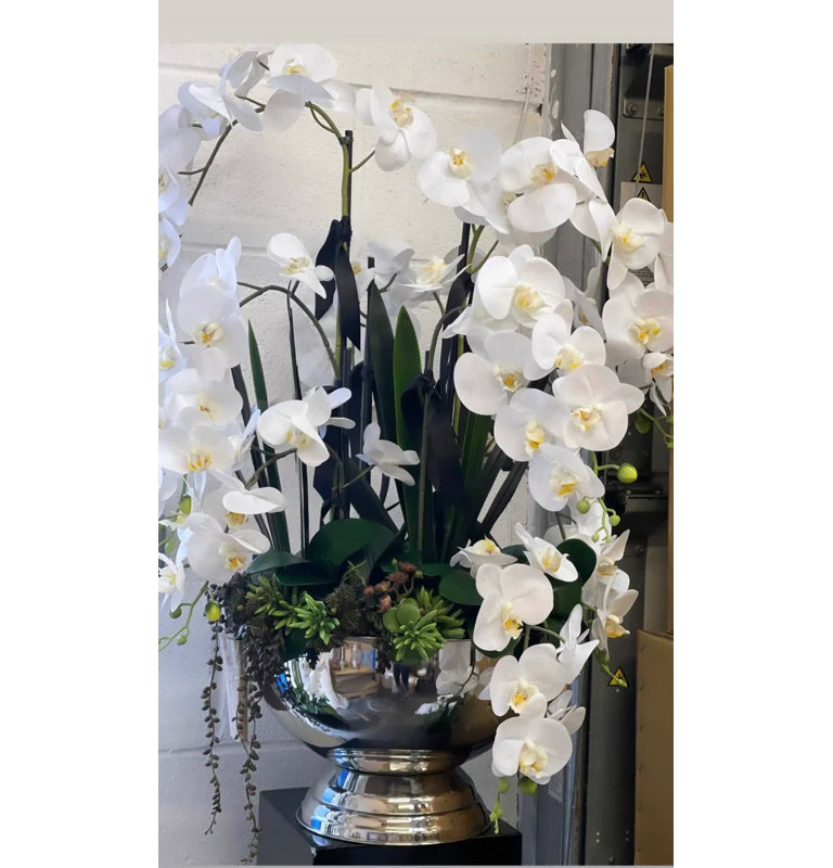Orchid Arrangement in Vase