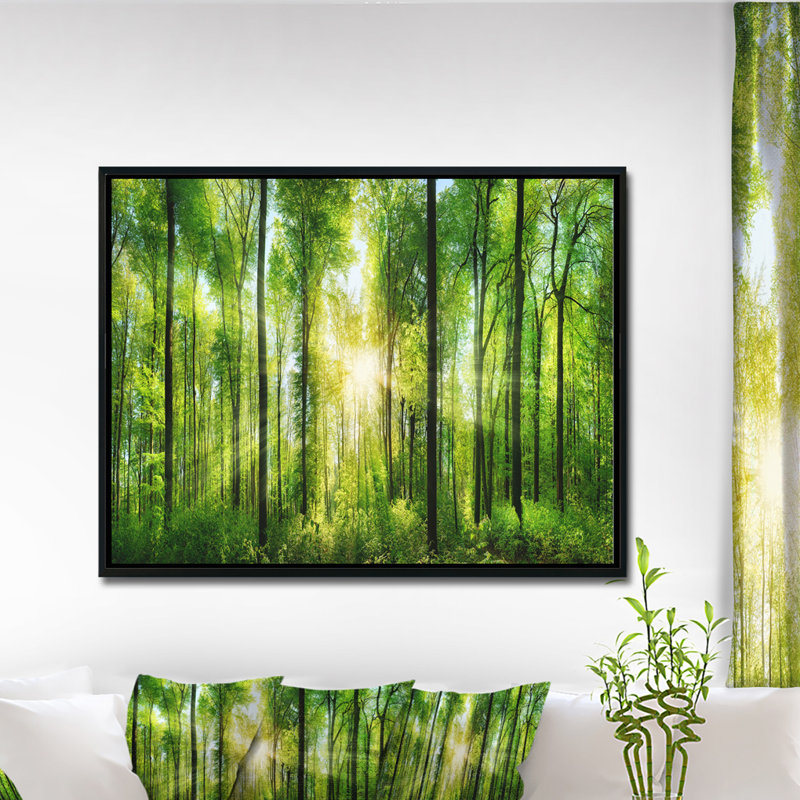 «Forest with Rays of Sun Panorama», photographie, H 12 po x l 20 po x P 1 po, Toile sur cadre