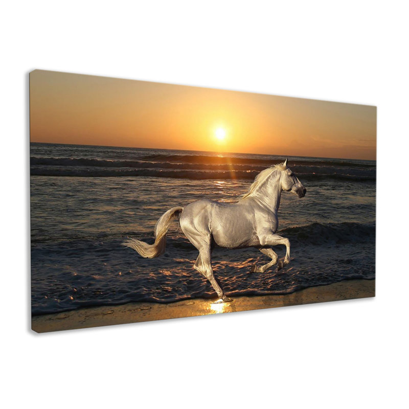 Sunset Horse - Wrapped Canvas Print, 76cm H x 127cm W x 3.2cm D